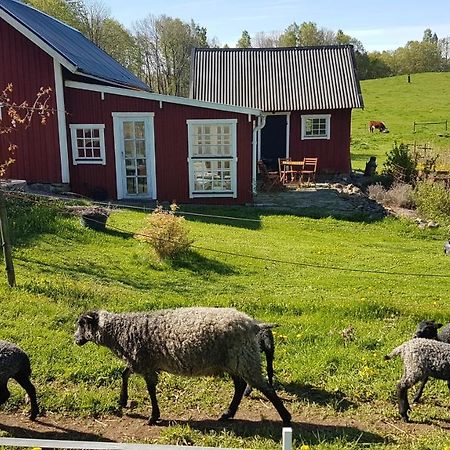 Sjoebacken Gard Bed and Breakfast Lerdala Eksteriør billede