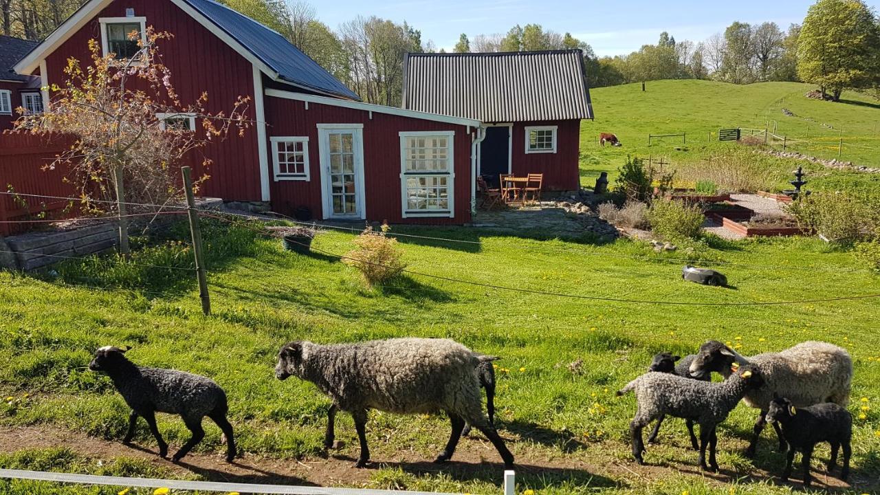Sjoebacken Gard Bed and Breakfast Lerdala Eksteriør billede